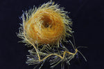 snake river fly hydro hackle apricot pastel