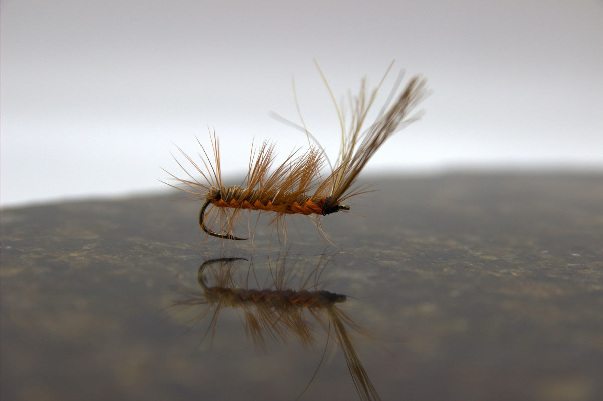 Mackay Special Fly Tying Tutorial- Snake River Fly