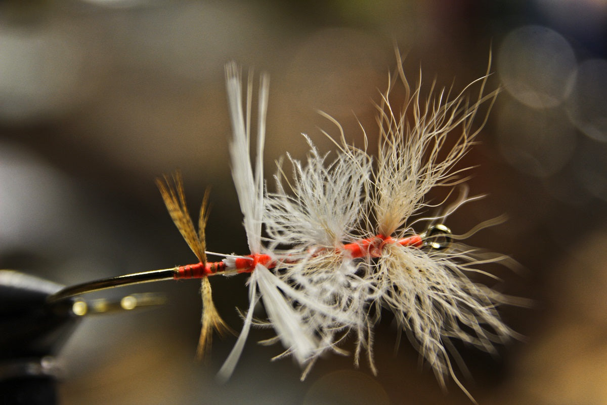 Up Right and Divided Wings for Dry Flies Fly Tying Tips and Tricks