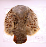 Premium Partridge Skins