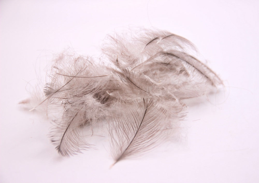 Premium CDC Feathers