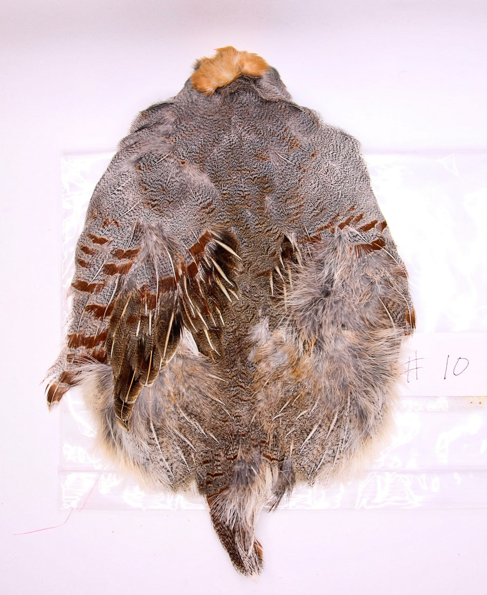 Premium Partridge Skins