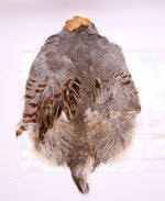 Premium Partridge Skins