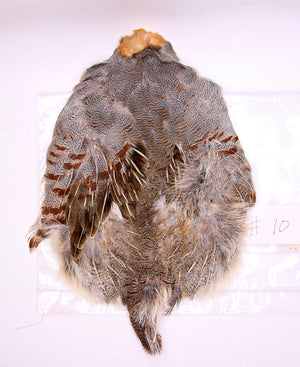 Premium Partridge Skins