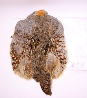 Premium Partridge Skins