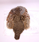 Premium Partridge Skins