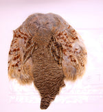 Premium Partridge Skins