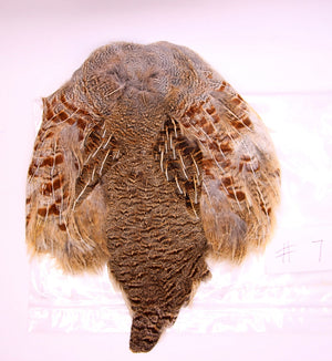 Premium Partridge Skins