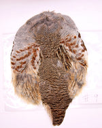 Premium Partridge Skins