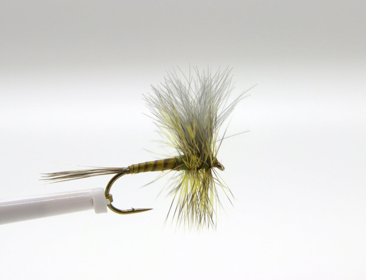 CDC Green Drake Dun Dry Fly