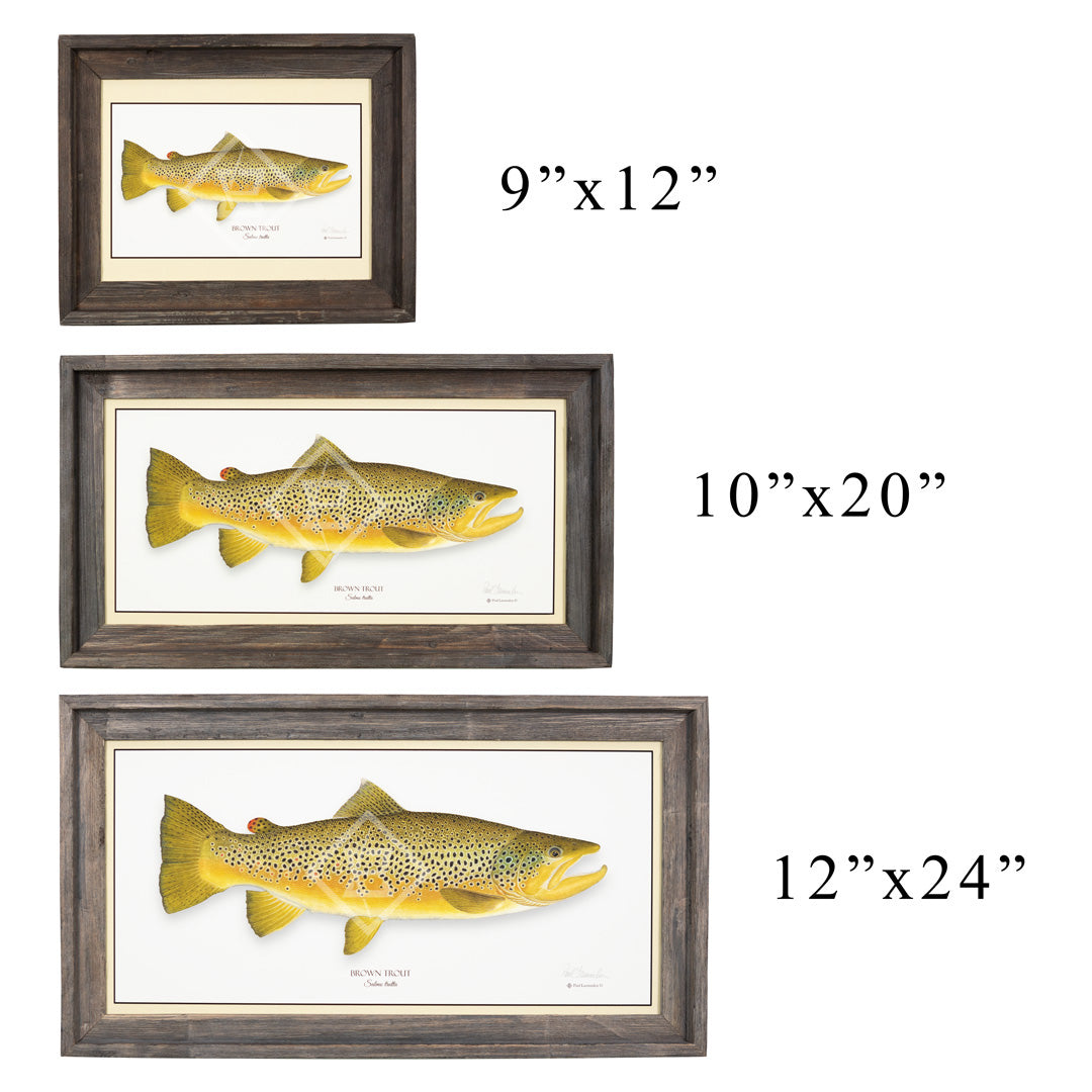 Trout Giclee Framed Prints by Paul Laemmlen
