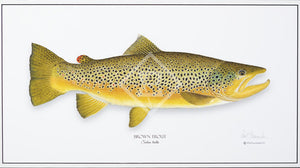 Trout Giclee Prints (non-Framed) By Paul Laemmlen
