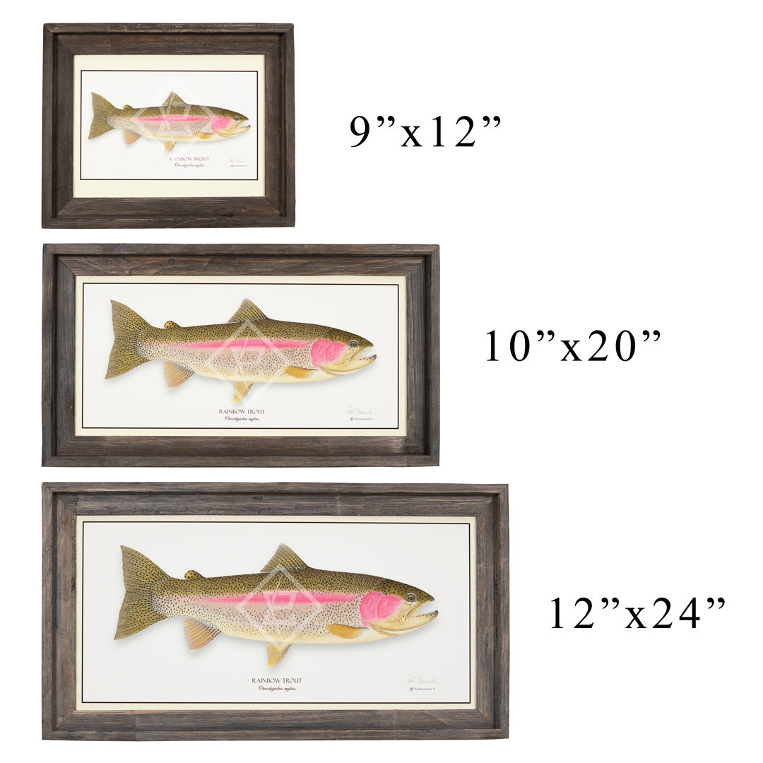 Trout Giclee Framed Prints by Paul Laemmlen