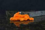 mop fly material orange
